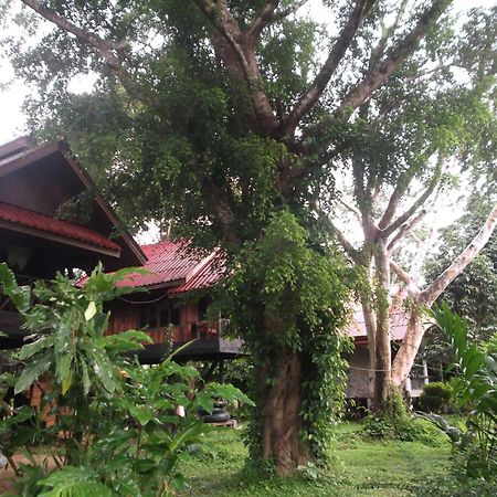 Bamboo House Hotel Khao Sok National Park Exterior photo