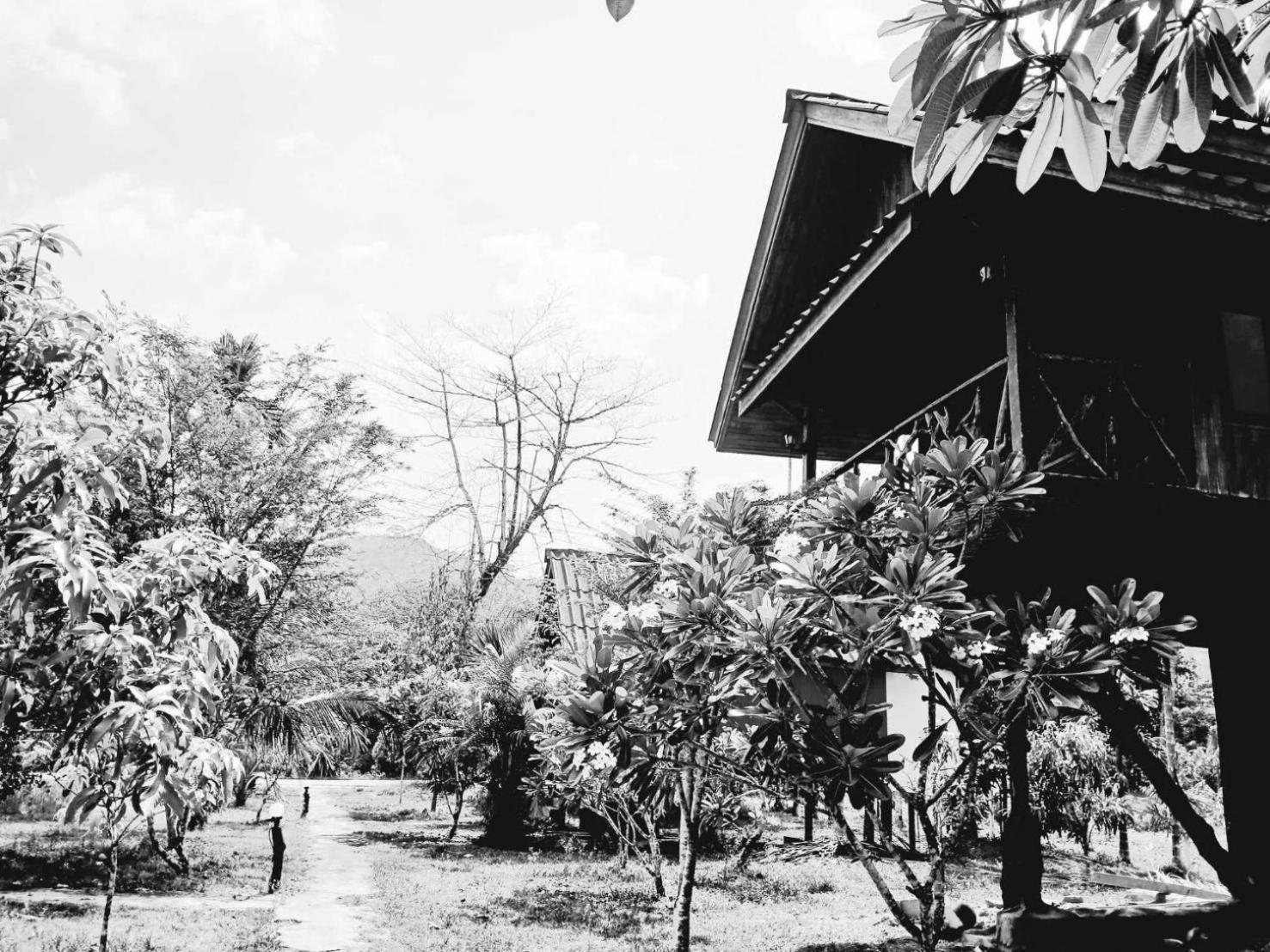 Bamboo House Hotel Khao Sok National Park Exterior photo