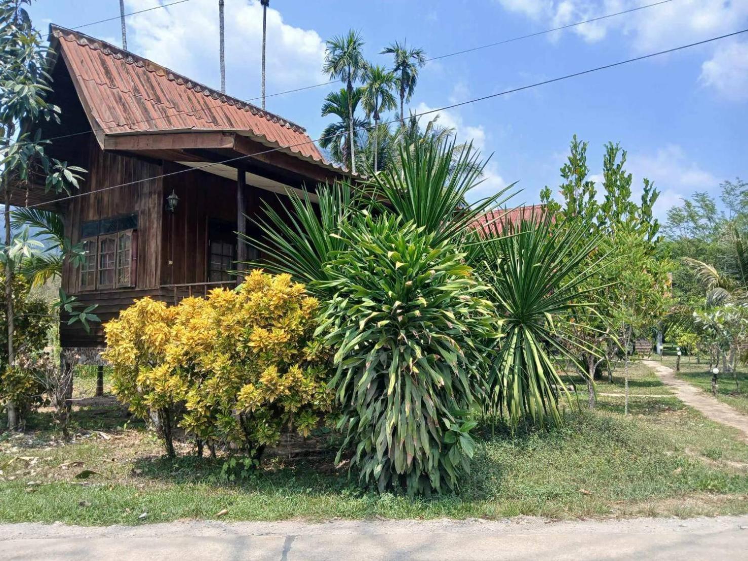 Bamboo House Hotel Khao Sok National Park Exterior photo
