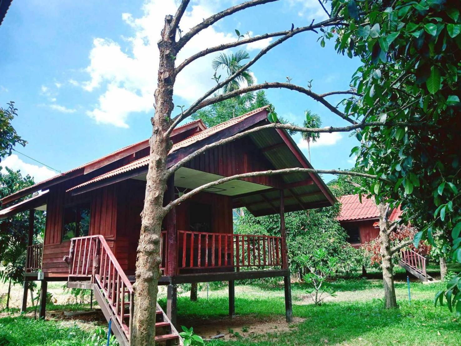 Bamboo House Hotel Khao Sok National Park Room photo