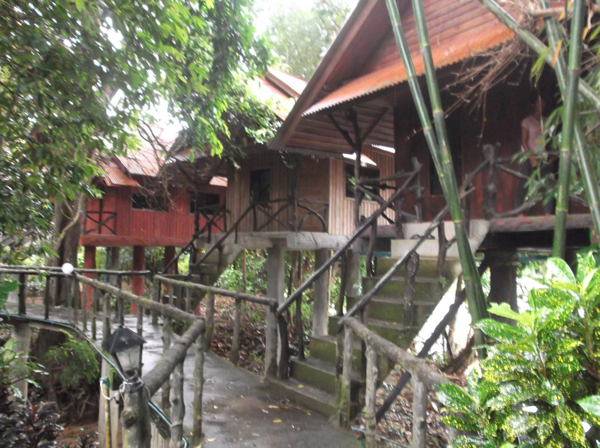 Bamboo House Hotel Khao Sok National Park Exterior photo